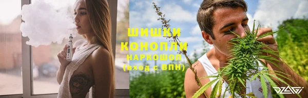 прущие грибы Ладушкин