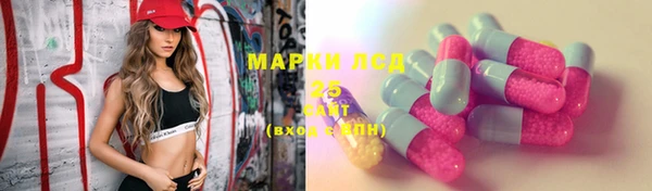 ECSTASY Кукмор