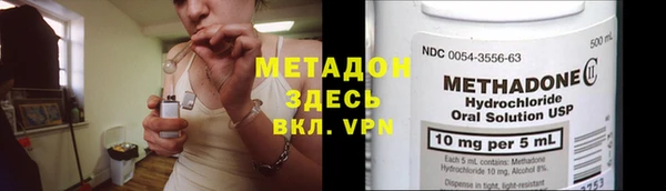 прущие грибы Ладушкин