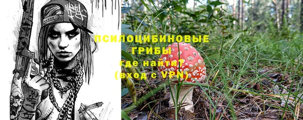 прущие грибы Ладушкин