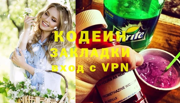 прущие грибы Ладушкин