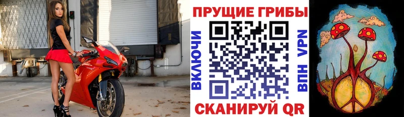Псилоцибиновые грибы мицелий  Лысково 